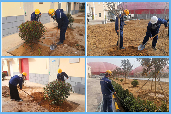 1585383992435883.jpg 3.jpg