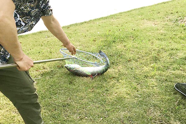 1589794673466600.jpg 1234.jpg