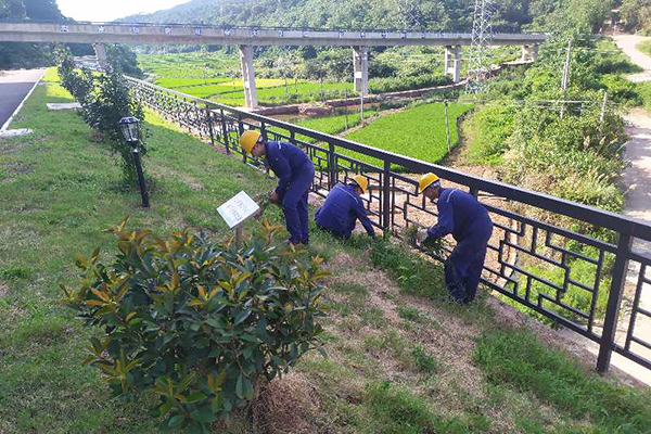 1595917816454546.png 圖片1.png