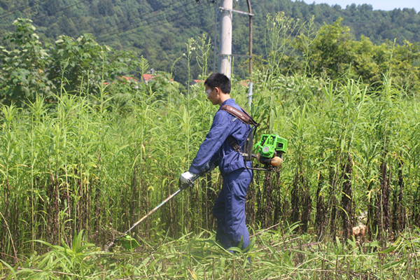 1597739925127366.jpg IMG_4155.JPG