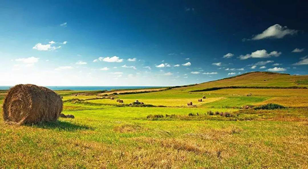 1600745566377926.png 圖片1.png