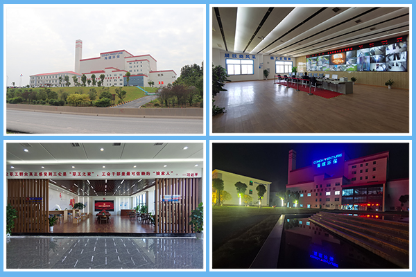 1603795667561501.jpg 3.jpg