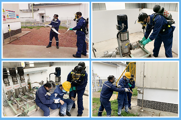 1607430486885256.jpg P圖-四框.jpg