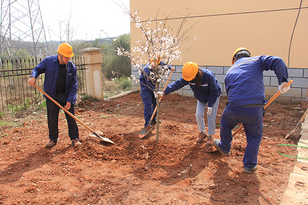 1616137379262533.jpg 圖6.JPG