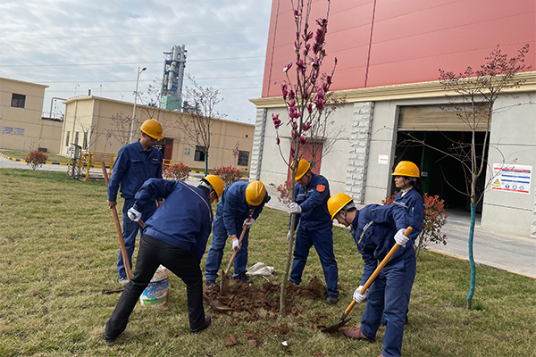 1616141266843377.jpg 5.jpg