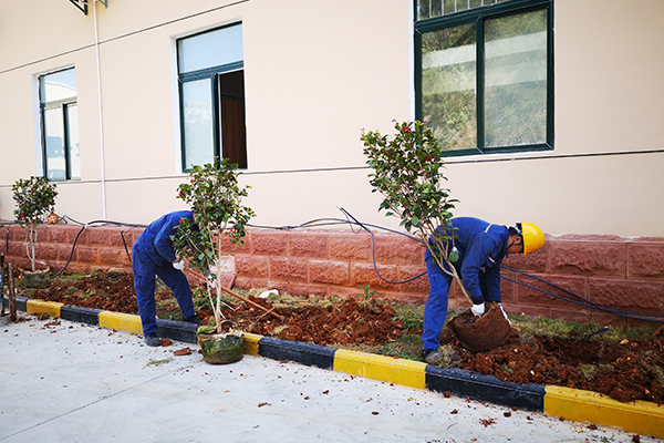 1616396426835931.jpg 06059cf4c9c104efa3dae8eae03a548.jpg