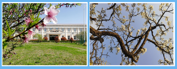 1617845703118579.jpg 1.jpg