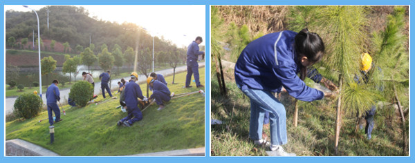 1622510913155466.jpg 圖2.jpg