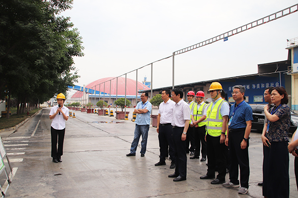 1623558956595944.jpg 1.jpg