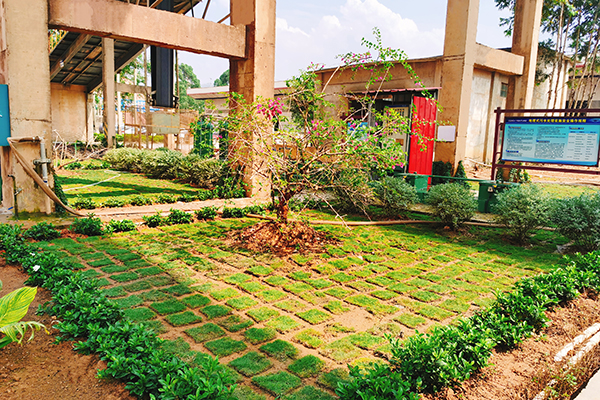 1624588390945370.jpg 改造后的綠化區域.jpg