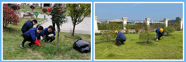 1625206272543246.jpg P圖-二框.jpg