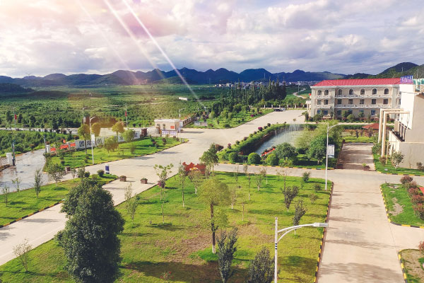 1626341402372373.jpg 1.jpg