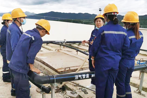 1627703648614293.jpg 2.jpg