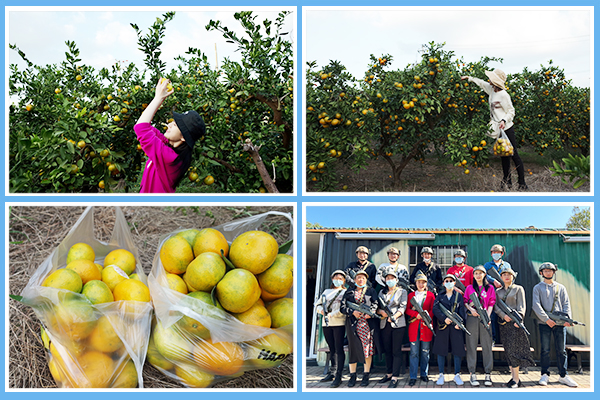 1636081406893106.jpg P圖-四框.jpg