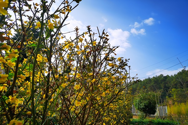 1646009603998434.png 圖片3.png