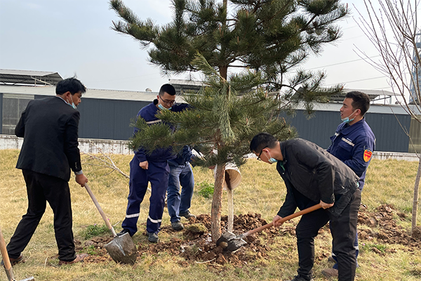 1647345356826364.png 3.png