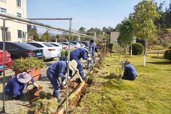 1647346909294180.png 圖片1.png