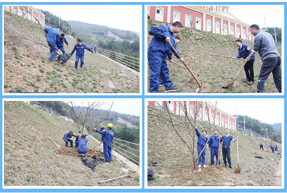 1647347100108904.png 圖片2.png