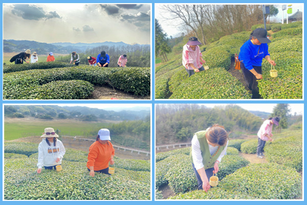 1679016754698016.png 圖片11.png