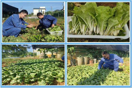 1698110310611207.jpg 1697168075022.jpg