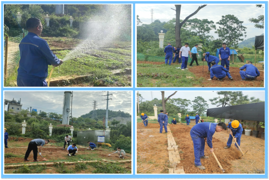 1698110317739460.jpg 1697168093700.jpg