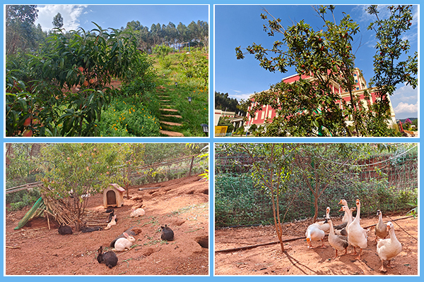 1716771178328350.jpg 2.jpg