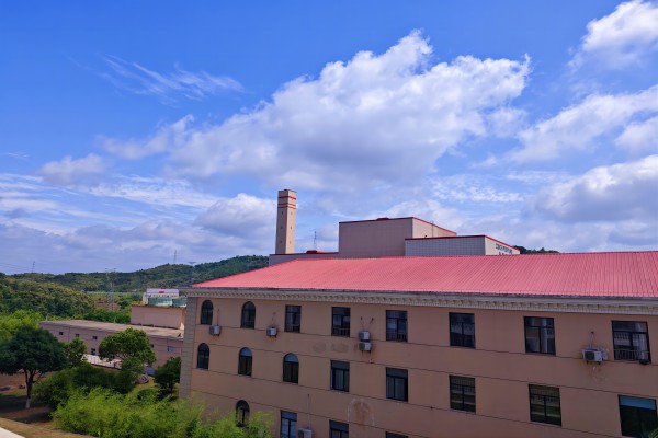 1717473377934678.jpg 漫畫(huà)里的金寨海創(chuàng )(1).jpg