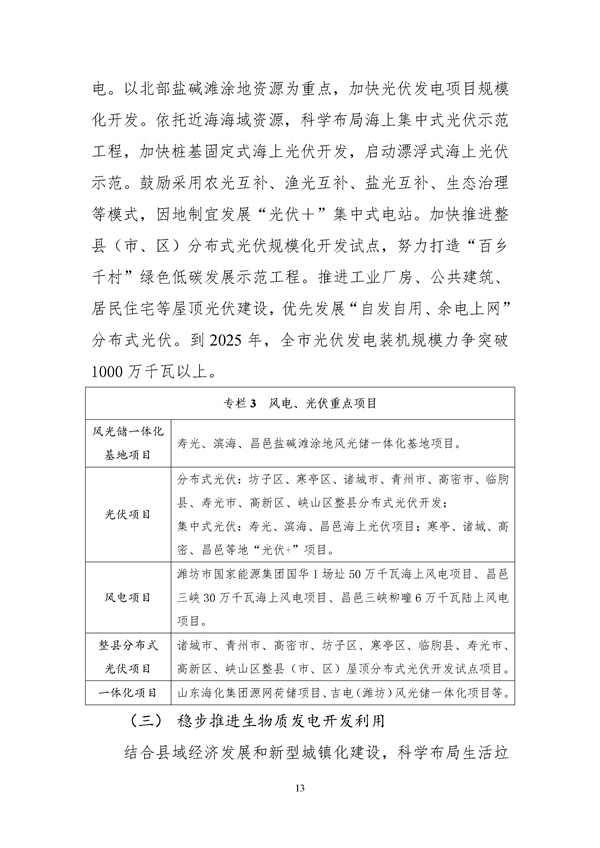 濰坊市可再生能源發(fā)展“十四五”規劃.docx_44_17.jpg